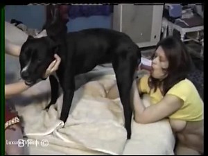 Sensual Dog Cock Blowjob