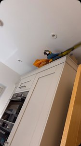 We would expect this from Mikey, definitely not Mia 😂 | Mikey and Mia