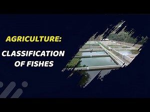 Classification of fishes