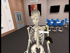 VR anatomy