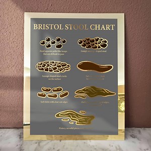 Bristol Stool Chart Poster Gastroenterology Art Identifying Types of Poop Diagram Medical Art Clinic Wall Decor Acrylic Art - Etsy
