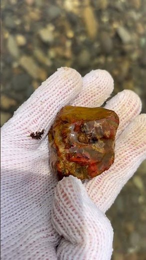 Jasper #shorts #stone #asmr #石拾い #ジャスパー#jasper#パワーストーン #河原 石#ビーチコーミング #quartz #天然石 #gemstone #鉱物