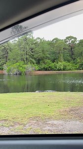 194K views · 1.5K reactions | Just hanging with the locals in Sunset Beach!  | NC Tripping | Facebook