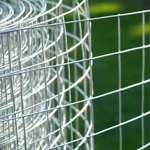 [Hot Item] Galvanized Welded Wire Mesh Panels for Strong and Rustproof Zoo Enclosures and Sports Facilities