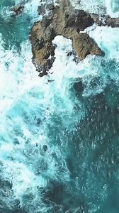 Embark on an extraordinary journey at Mayan Monkey Isla Mujeres! 🏝️ | Mayan Monkey Hotels