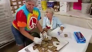 2.4K views · 81 reactions | Genoa candy makers in action! | The Record-Courier | Facebook