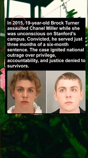 In 2015, 19-year-old Brock Turner assaulted unconscious Chanel Miller while she was unconscious
