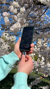 Spring colors, captured and backed up in a flash 🌸📸 Watch @nev.in.color take mobile photography to the next level with the ultra-portable ADATA SC750 External SSD — fast, reliable, and ready for every shot. ⚡️ Type-C speed 💾 Pocket-sized storage 🌈 Creative freedom, uninterrupted Shop the SC750: https://us-shop.adata.com/products/adata-sc750-2000gb-usb-c-external-solid-state-drive-up-to-1000-mb-s | ADATA