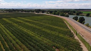 2.6K views · 13 reactions | The Delta Tunnels have been a subject of controversy lately. But how would the project affect Delta landowners? Video by Randall Benton | The Sacramento Bee | Facebook