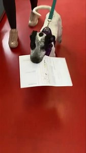 7.8K views · 80 reactions | Please share 勺 Hi everyone! My name is...