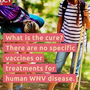 25 reactions · 93 shares | West Nile Virus (WNV) was first isolated...