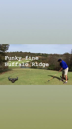 #bigcedarlodge #explorebranson #branson #missouri #golfdestination | Branson Golf