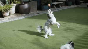 Soho Grand Hotel on Reels