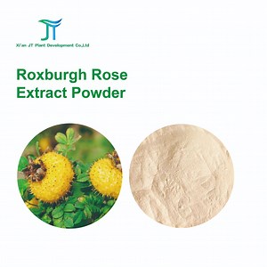 [Hot Item] Natural Plant Extract SOD Vitamin C Rosa Roxburghii Extract Powder