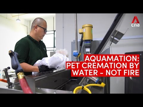 No fire, just water: New pet cremation service is first to use aquamation in Singapore