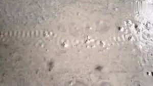 Lab Concrete Mould Vibration Table,Cement Vibrator Concrete Shaker Table for Sale