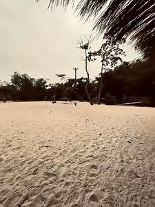 Canon beach vous offre plus qu’une plage Plage, boissons fraîches, cadre relaxant et chambres disponibles pour un séjour en toute tranquillité 🍹🌊🛌 | CANON BEACH