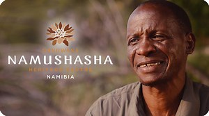 Discover the riches of the River http://bit.ly/namushasha-river-lodge #namibia #namushasha #lodge | Gondwana Collection Namibia