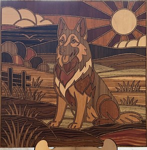 Shepherd Laser Inlay