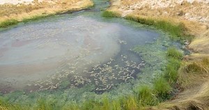 Great Artesian Basin Outback Hot Spring Stock Footage Video (100% Royalty-free) 1098242929 | Shutterstock