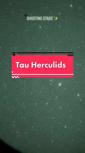 Chasingthemilk on TikTok