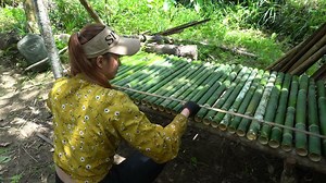 Bushcraft Survival ： Build a shelter on a stream with a waterfall . Survival alone in the forest | Teagan Wiley