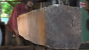 close up danger sawmill process | Sawmill & Woodworking