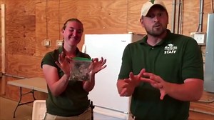 April the giraffe: Animal Adventure Park gives pregnancy update