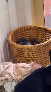 96K views · 1.8K reactions | TOP TEN CATCHES OF 2025 PART TWO!  Here it is! The finale! Checkout our top 5 catches from 2025! Did you guess number one correctly? Which one is your fav? What a year! We are so grateful for all of the people and snakes we were able to help, and here’s to another year of protecting wildlife! | Sunshine Coast Snake Catchers 24/7 | Facebook