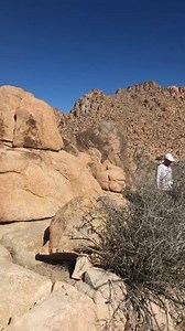 Dan Sullivan on Reels