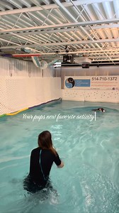 Nager. Jouer. Récupérer. 🐶💦 Baignade libre privée dans notre Splash Pool Une expérience unique pour chiens actifs 📍 689 Avenue De Salaberry, Chambly | Réservation ~ 514-710-1372 | Centre Hydromassage Canin Inc