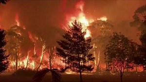 Australia bushfires: Footage shows fire 'crowning' across treetops