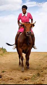 547K views · 28K reactions | Wewe! Sitawaambia tena, Ebu endeni mu watch Merry Christmas Music Video on my YouTube channel ama niwatumanishie Hio crocodile yetu iko kwa hii video! Shot and Edited by Me 藍 | Awinja Nyamwalo - Jacky Vike | Facebook