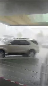 8.2K views · 27 reactions | #Down #tree #Ccs #vnzla | Rodolfo Munoz | Facebook