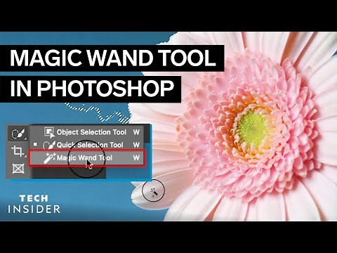 How To Use The Magic Wand Tool In Photoshop