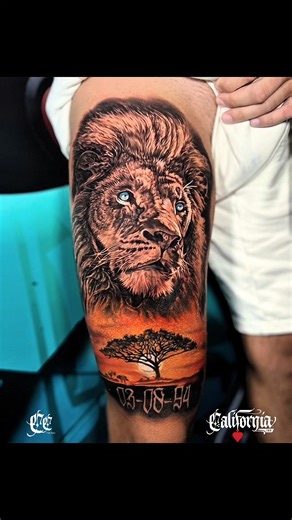 The king of the savannah 🦁🔥 this stunning lion leg piece blends vibrant color realism with perfect contrast — the blue eyes and sunset tones make it truly come alive. another masterpiece from our world-class artists at california ink 💥 World-Class Tattoos in Thailand 🇹🇭 Get inked by internationally award-winning artists at California Ink — Bangkok & Phuket 🔥 ♠️ Open Daily: 9AM–2AM ♠️ ✅ Western-standard hygiene & safety ✅ Realism, Japanese, Black & Grey, Color & more ✅ 100% custom designs —