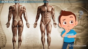 You must c C reate an account to continue watching