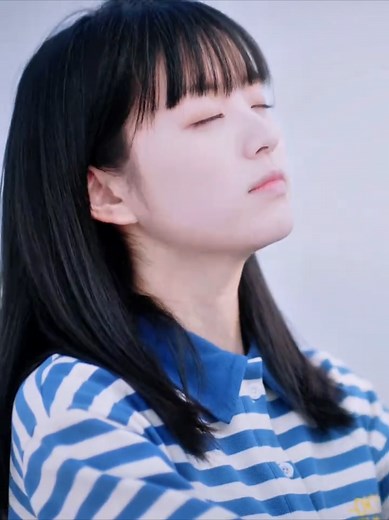 Butterfly Transformation Compilation