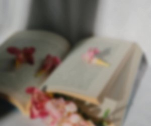 18 reactions | Meat House on Reels | Facebook