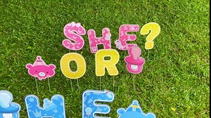 12 PCS Gender Reveal Yard Signs He or She Yard Letter Baby Shower Party Suppliers Lawn Signs for Indoor & Outdoors