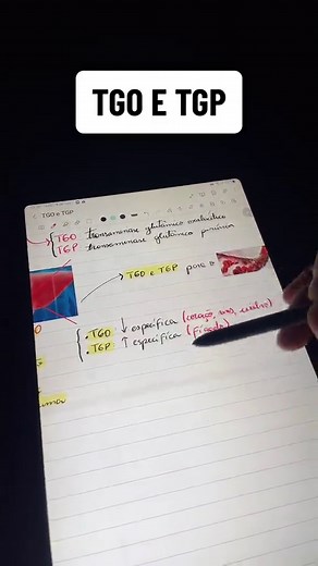 Entenda o exame TGO e TGP do fígado