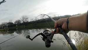 Buona domenica a tutti voi con una stupenda Carpa Regina del Lago Azzurro Lago Azzurro Bar Ristorante Camping Area Camper | Fishing Passion & Feeder