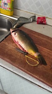 142K views · 434 reactions | Japanese people is insane  #usa #usareels #foodlover | Indian Food Vlog | Facebook