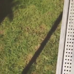 #TBT | Cassius Verbond