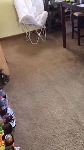 1.9K views · 68 reactions | Bella update! Check out her signature...