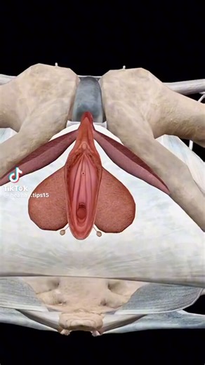Bro to bro,Watch and learn how female orgasm actually happens.