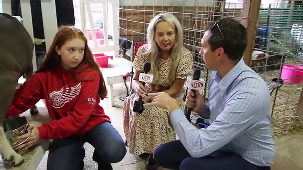 11 reactions | Andy and Jen Milking Goats at The Jackson County Fair | JTV | Facebook