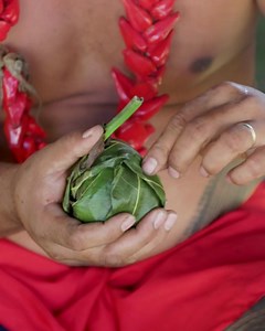 70 reactions · 11 shares | The perfect Pacific Island destination for your next adventure. | Samoa Tourism | Facebook