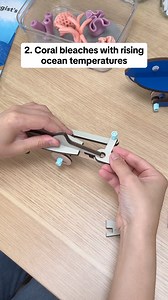 Create a coral reef 🏝️ build whale and shark automatons 🐋 and explore the ocean with the KiwiCo Marine Biologist Starter Kit 🌊 | KiwiCo