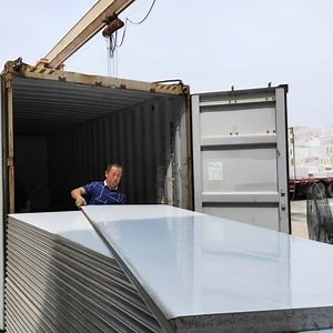 [Hot Item] PU/PUR/PIR Sandwich Panel for Steel Structure Wall Cladding System